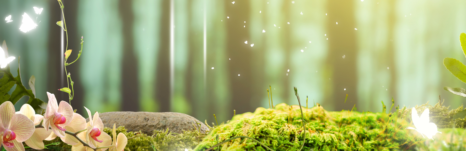 Combo dầu gội xả thảo dược Mayson 500gr